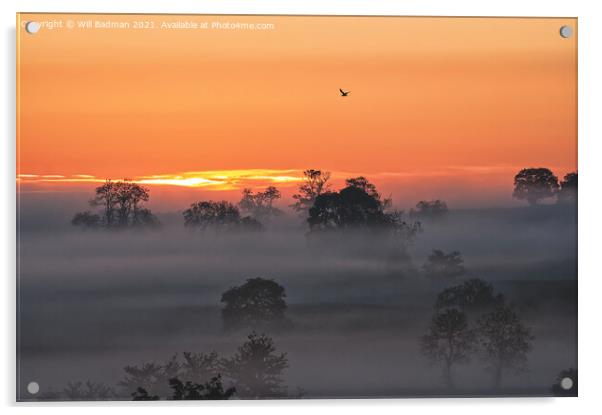 Misty sunrise  Acrylic by Will Badman