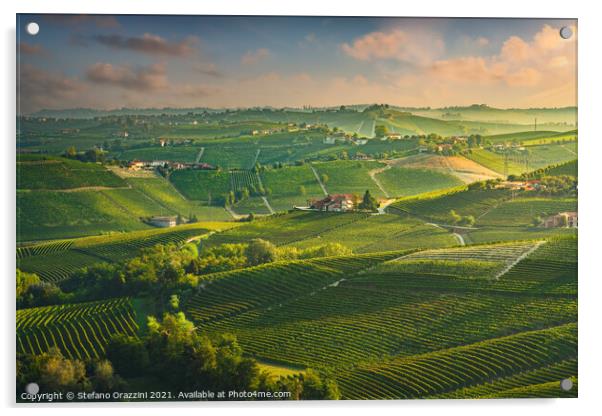 Langhe vineyards, Piedmont, Italy Acrylic by Stefano Orazzini