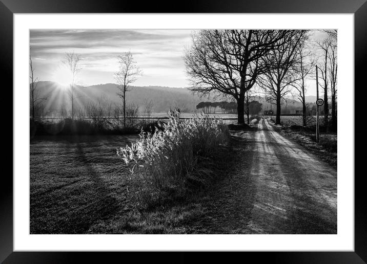 Rural road to Senfores, Catalonia - B&W Framed Mounted Print by Jordi Carrio