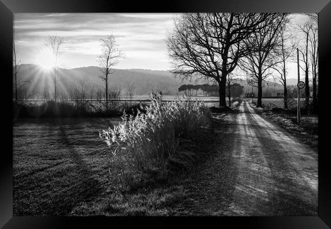 Rural road to Senfores, Catalonia - B&W Framed Print by Jordi Carrio