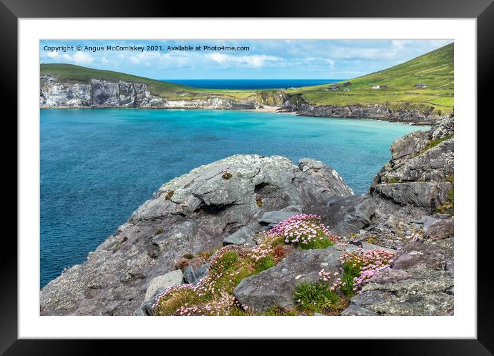 Slea Head coast on Dingle Peninsula Framed Mounted Print by Angus McComiskey