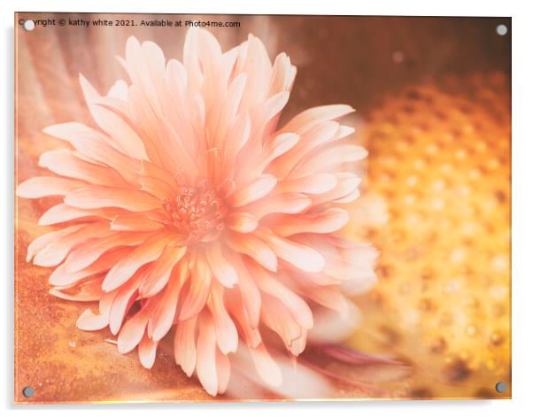Dahlia flower  Acrylic by kathy white