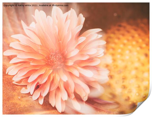 Dahlia flower  Print by kathy white