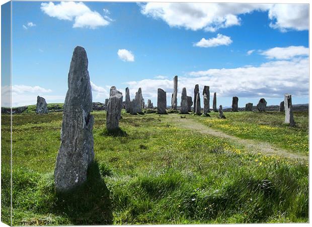 Callanish Stones Isle of Lewis Canvas Print by Colin Metcalf