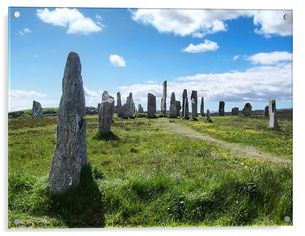 Callanish Stones Isle of Lewis Acrylic by Colin Metcalf