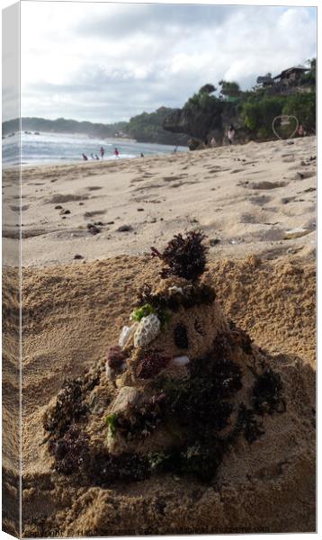 Santa Claus built from sand seaweed and stones at a sand beach 2a Canvas Print by Hanif Setiawan
