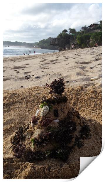 Santa Claus built from sand seaweed and stones at a sand beach 2a Print by Hanif Setiawan