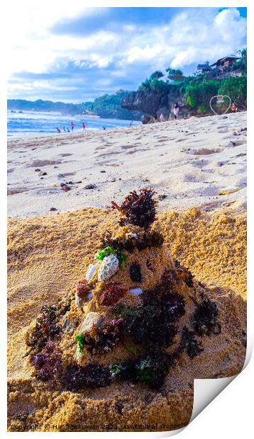 Santa Claus built from sand seaweed and stones at a sand beach 2b Print by Hanif Setiawan