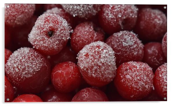 Frozen cherries Acrylic by Stan Lihai