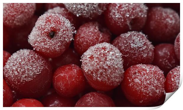 Frozen cherries Print by Stan Lihai