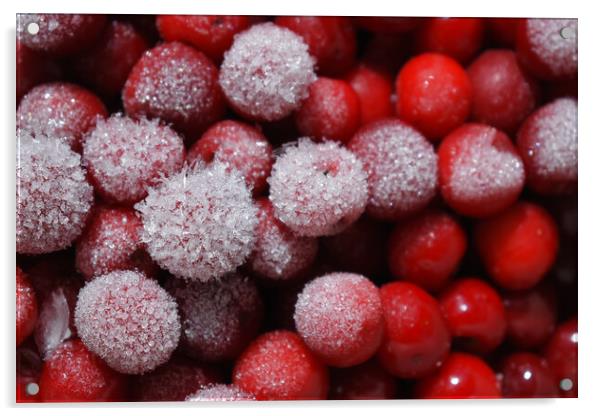 Frozen cherries Acrylic by Stan Lihai