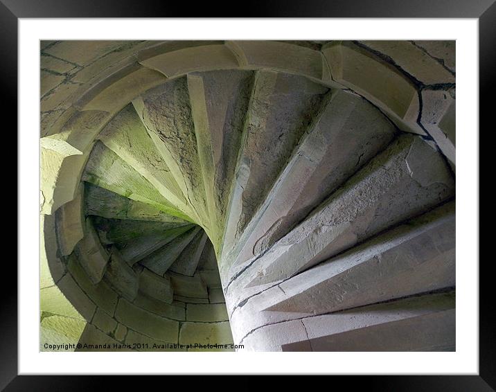 Spiral Staircase Framed Mounted Print by Amanda Harris