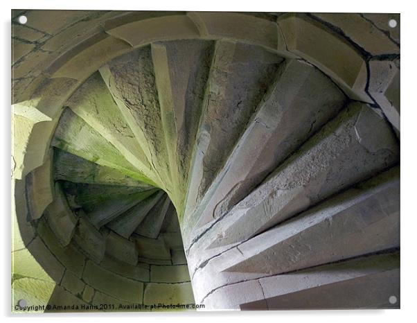 Spiral Staircase Acrylic by Amanda Harris