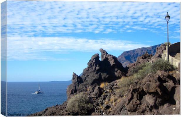 Los Gigantes cruise Canvas Print by Paulina Sator