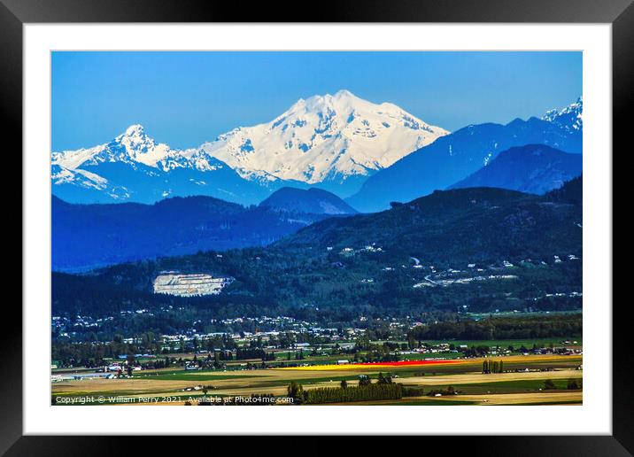 Snowy Mount  Baker at Tulip Time  Framed Mounted Print by William Perry