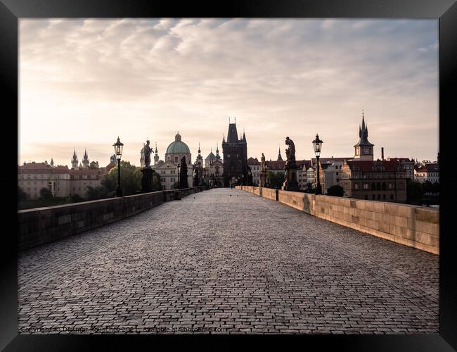 Charles Bridge in Prague in the Morning Framed Print by Dietmar Rauscher