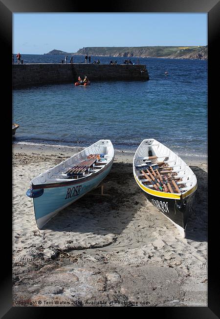 Cornish Rowing Gigs Rose & Taran Framed Print by Terri Waters