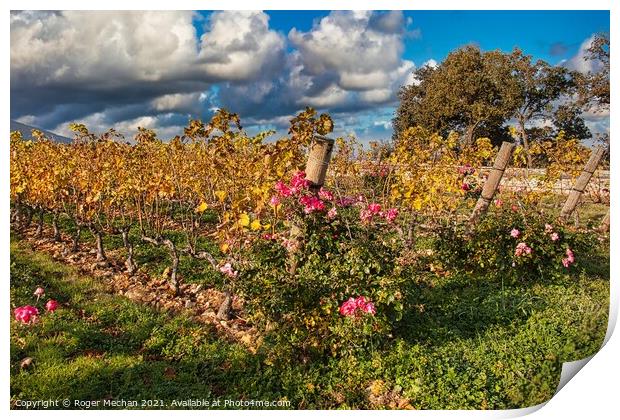 Harvest's Golden Treasures Print by Roger Mechan