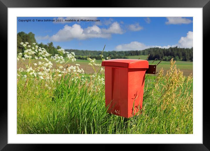 Red Mailbox in the Country Framed Mounted Print by Taina Sohlman