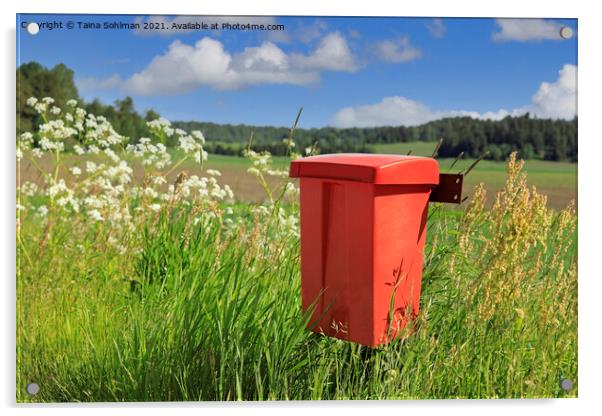 Red Mailbox in the Country Acrylic by Taina Sohlman