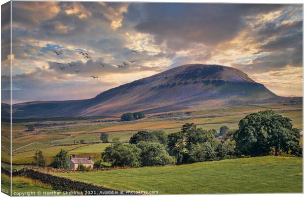 Pen-y-Ghent Morning Canvas Print by Heather Sheldrick