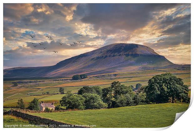 Pen-y-Ghent Morning Print by Heather Sheldrick