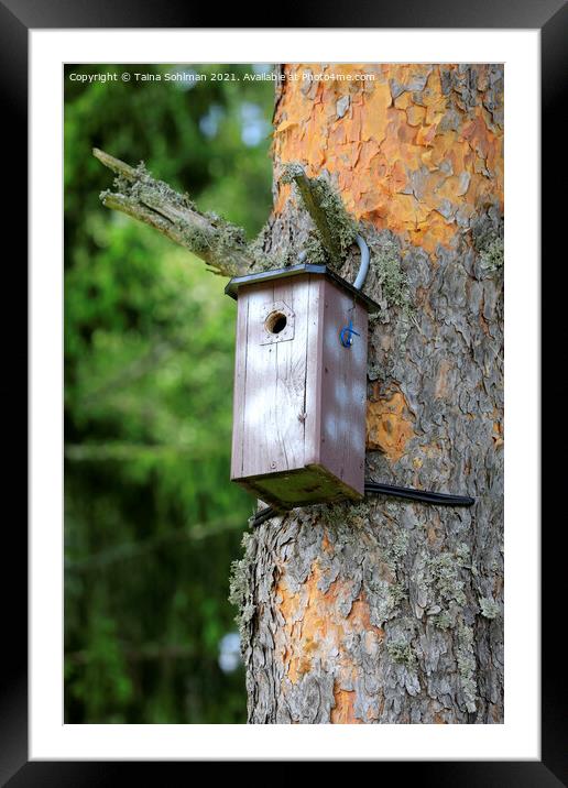 Birdhouse or Nesting Box Framed Mounted Print by Taina Sohlman