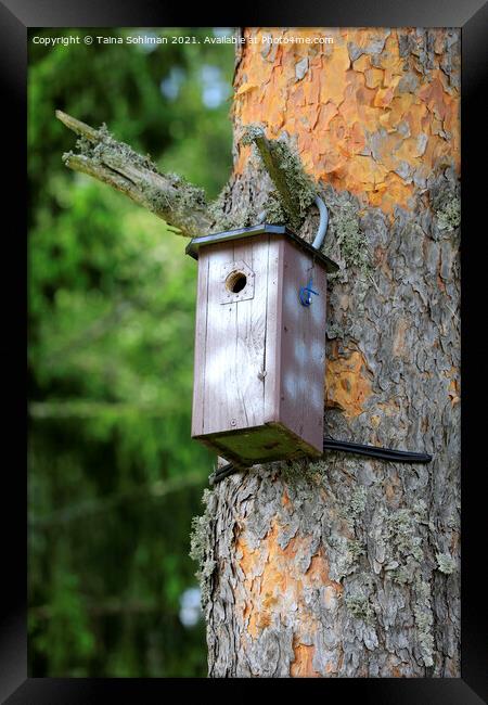 Birdhouse or Nesting Box Framed Print by Taina Sohlman
