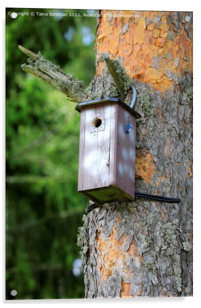 Birdhouse or Nesting Box Acrylic by Taina Sohlman