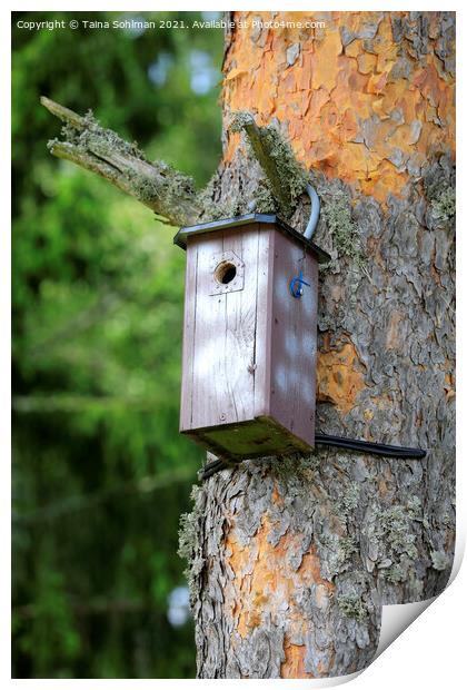 Birdhouse or Nesting Box Print by Taina Sohlman