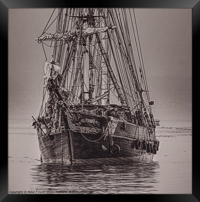 Tres Hombres Coming In To Brixham  Framed Print by Peter F Hunt