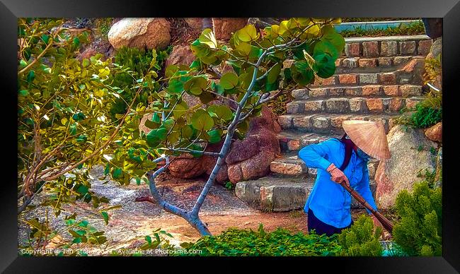 Vietnam garden  Framed Print by Ian Stone