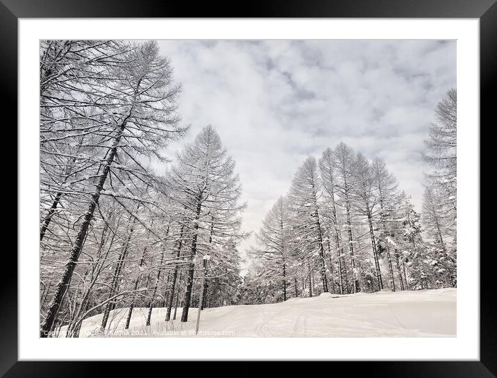 Winter forest Framed Mounted Print by Larisa Siverina