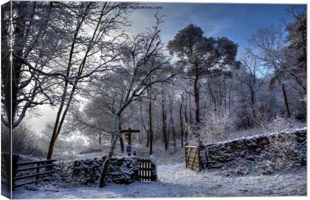 Winter on the Knott Canvas Print by Beverley Middleton