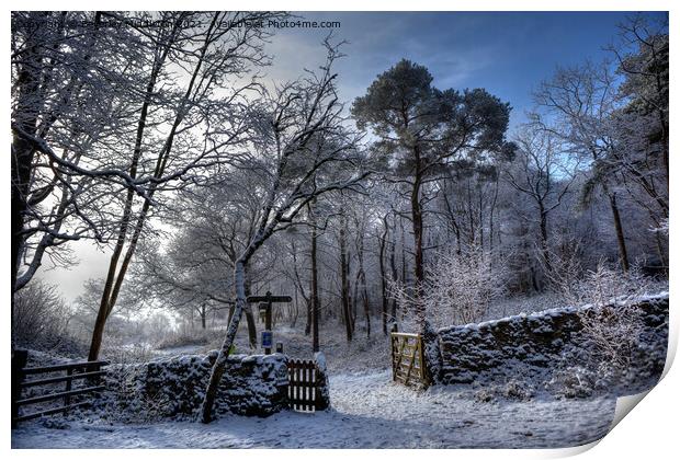 Winter on the Knott Print by Beverley Middleton