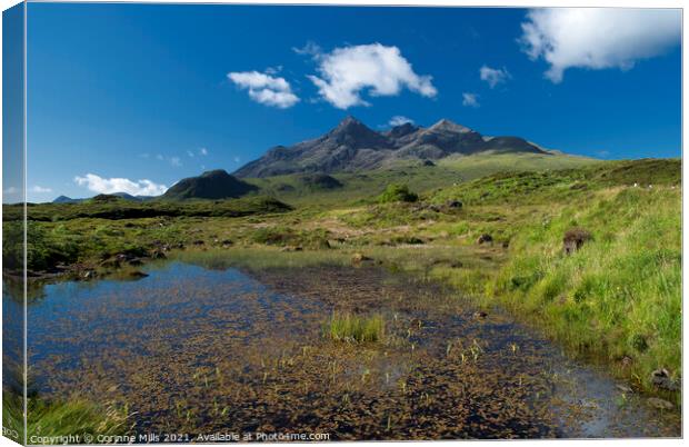 The Cuillin From Sligachan, Isle Of Skye Canvas Print by Corinne Mills