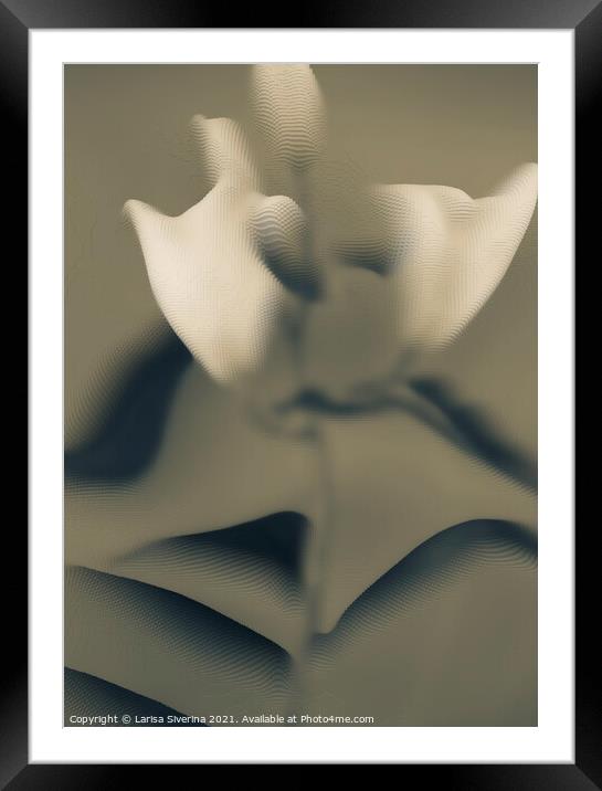 Abstract  bouquet Framed Mounted Print by Larisa Siverina