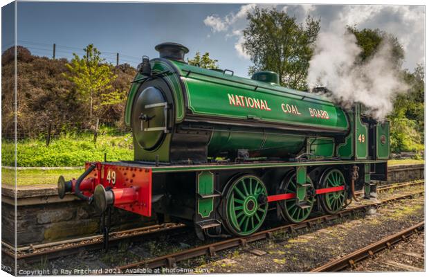 Steam Train at Tanfield Railway Canvas Print by Ray Pritchard
