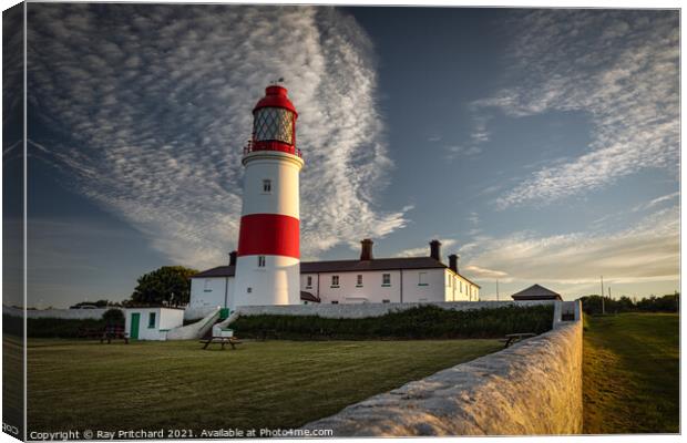 Souter Lighthouse at Whitburn Canvas Print by Ray Pritchard