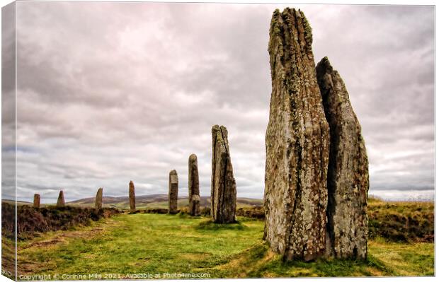 The Ring of Brodgar, Stenness, Orkney Canvas Print by Corinne Mills