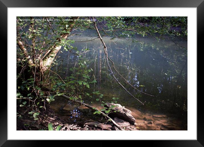 Dream On Framed Mounted Print by Christine Lake
