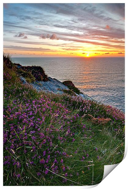 A Cornish Sunset Print by Jason Connolly