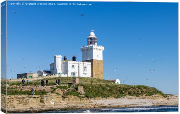 Coquet Lighthouse, Amble, Northumberland Canvas Print by Graham Prentice