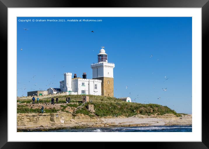 Coquet Lighthouse, Amble, Northumberland Framed Mounted Print by Graham Prentice