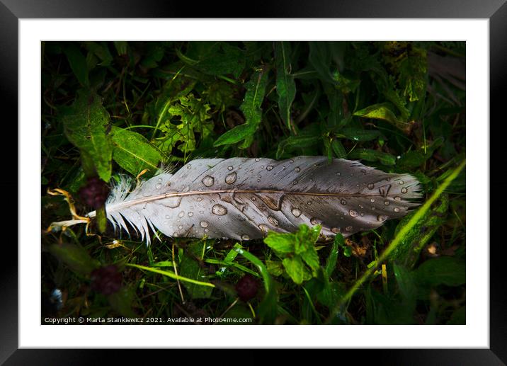 Droplets on a feather Framed Mounted Print by Marta Stankiewicz