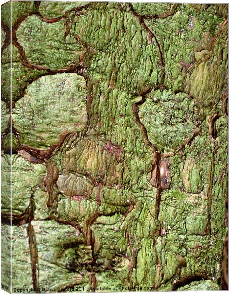 Green bark in forest walk Canvas Print by DEE- Diana Cosford