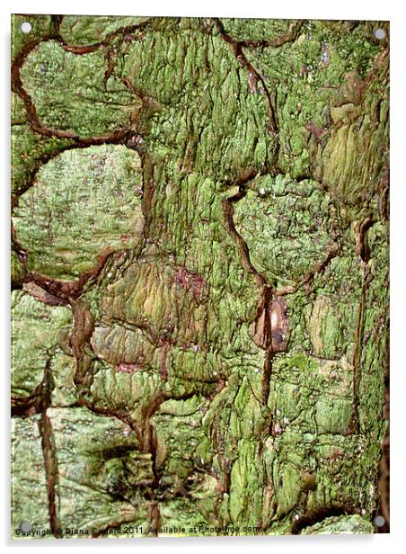 Green bark in forest walk Acrylic by DEE- Diana Cosford