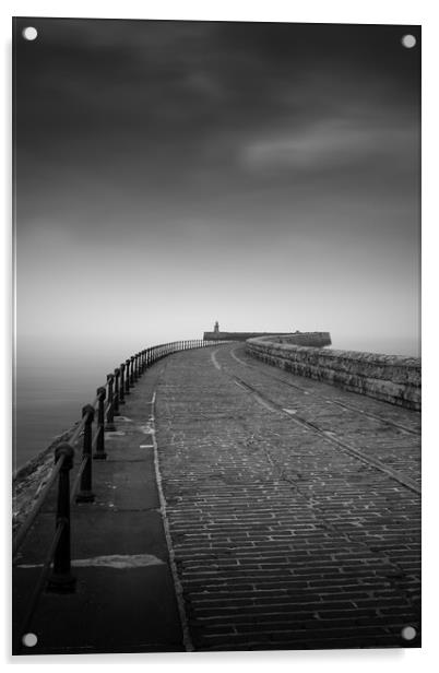 South Tyne Pier, South Shields Acrylic by Mark Jones