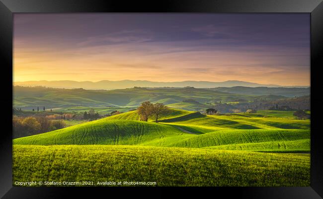 Two Trees, springtime in Tuscany, Pienza, Val d'Orcia Framed Print by Stefano Orazzini