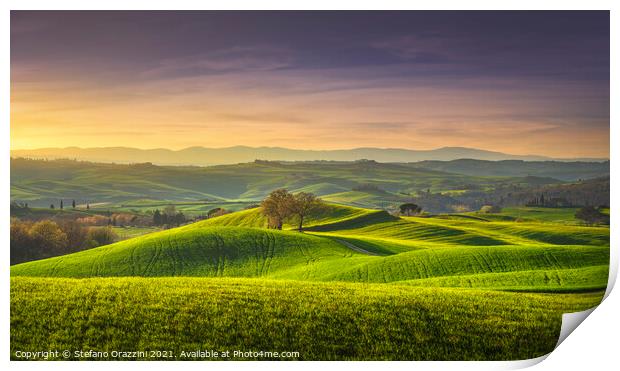 Two Trees, springtime in Tuscany, Pienza, Val d'Orcia Print by Stefano Orazzini